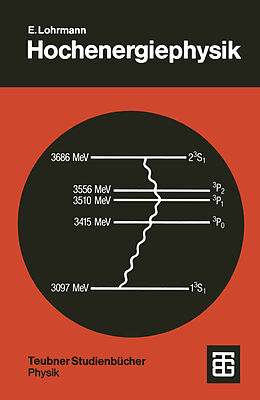 Kartonierter Einband Hochenergiephysik von Erich Lohrmann