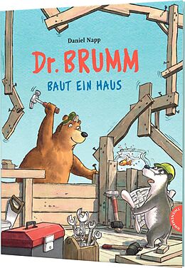 Fester Einband Dr. Brumm: Dr. Brumm baut ein Haus von Daniel Napp