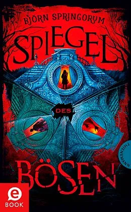 E-Book (epub) Spiegel des Bösen von Björn Springorum