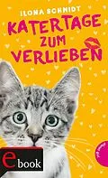 E-Book (epub) Katertage zum Verlieben von Ilona Schmidt