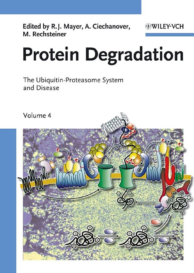 Protein Degradation Series / Protein Degradation