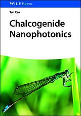 Fester Einband Chalcogenide Nanophotonics von Tun Cao