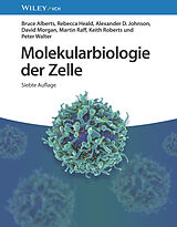 Fester Einband Molekularbiologie der Zelle von Bruce Alberts, Rebecca Heald, Alexander D. Johnson