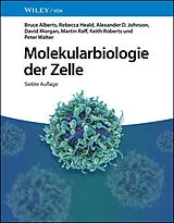 Fester Einband Molekularbiologie der Zelle von Bruce Alberts, Rebecca Heald, Alexander D. Johnson