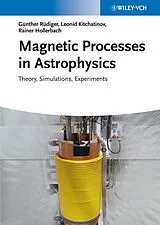 Fester Einband Magnetic Processes in Astrophysics von Günther Rüdiger, Rainer Hollerbach, Leonid L. Kitchatinov