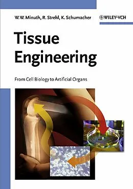 E-Book (pdf) Tissue Engineering von Will W. Minuth, Raimund Strehl, Karl Schumacher