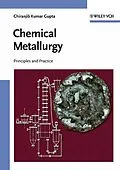 E-Book (pdf) Chemical Metallurgy von Chiranjib Kumar Gupta