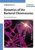 E-Book (pdf) Dynamics of the Bacterial Chromosome von Wolfgang Schumann