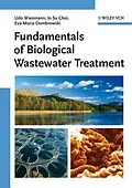 E-Book (pdf) Fundamentals of Biological Wastewater Treatment von Udo Wiesmann, In Su Choi, Eva-Maria Dombrowski