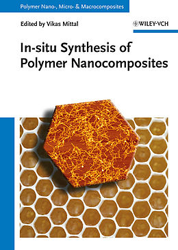 eBook (pdf) In-situ Synthesis of Polymer Nanocomposites de 