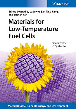 eBook (epub) Materials for Low-Temperature Fuel Cells de 