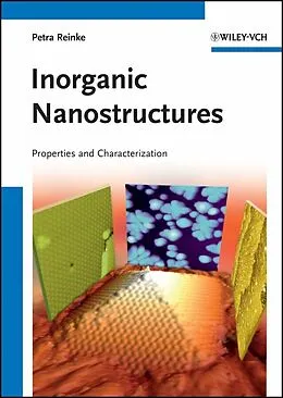 E-Book (pdf) Inorganic Nanostructures von Petra Reinke