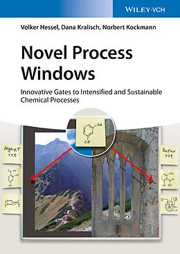 E-Book (epub) Novel Process Windows von Volker Hessel, Dana Kralisch, Norbert Kockmann