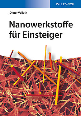 E-Book (pdf) Nanowerkstoffe für Einsteiger von Dieter Vollath