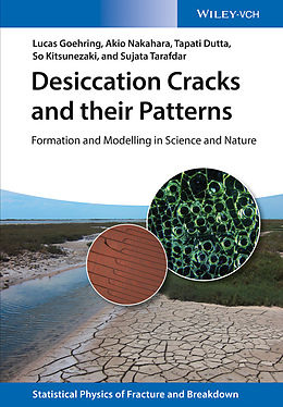E-Book (pdf) Desiccation Cracks and their Patterns von Lucas Goehring, Akio Nakahara, Tapati Dutta
