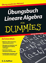 Kartonierter Einband Übungsbuch Lineare Algebra für Dummies von E.-G. Haffner