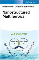 eBook (pdf) Nanostructured Multiferroics de 