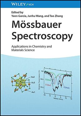 eBook (pdf) Mössbauer Spectroscopy de 