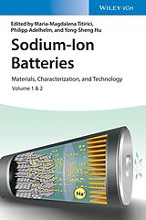 eBook (pdf) Sodium-Ion Batteries de 