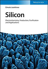eBook (epub) Silicon de Eimutis Juzeliunas