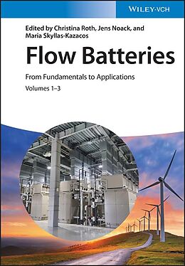 eBook (epub) Flow Batteries de 