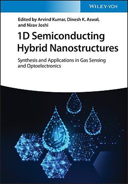 eBook (epub) 1D Semiconducting Hybrid Nanostructures de 