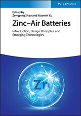 eBook (epub) Zinc-Air Batteries de 