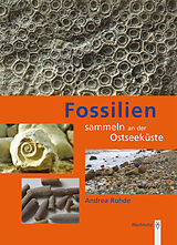 Kartonierter Einband Fossilien sammeln an der Ostseeküste von Andrea Rohde