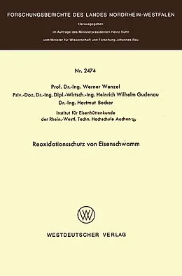 Kartonierter Einband Reoxidationsschutz von Eisenschwamm von Werner Wenzel
