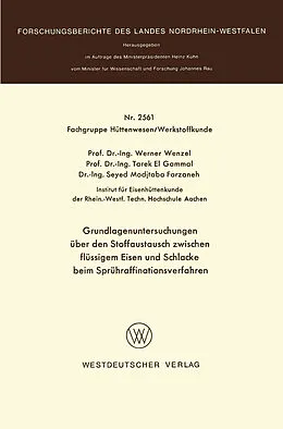 Kartonierter Einband Grundlagenuntersuchungen über den Stoffaustausch zwischen flüssigem Eisen und Schlacke beim Sprühraffinationsverfahren von Werner Wenzel