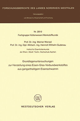 Kartonierter Einband Grundlagenuntersuchungen zur Herstellung eines Eisen-Glas-Verbundwerkstoffes aus gangarthaltigem Eisenschwamm von Werner Wenzel