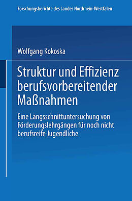 Kartonierter Einband Struktur und Effizienz berufsvorbereitender Maßnahmen von Wolfgang Kokoska