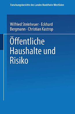 Kartonierter Einband Öffentliche Haushalte und Risiko von Eckhard Bergmann, Christian Kastrop, Wilfried Steinheuer