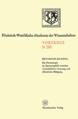 Kartonierter Einband Die Kernenergie im Spannungsfeld zwischen wirtschaftlicher Nutzung und öffentlicher Billigung von Heinrich Mandel