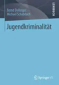 E-Book (pdf) Jugendkriminalität von Bernd Dollinger, Michael Schabdach
