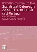 E-Book (pdf) Sozialstaat Österreich zwischen Kontinuität und Umbau von Herbert Obinger, Emmerich Talos