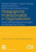 E-Book (pdf) Pädagogische Professionalität in Organisationen von Werner Helsper, Susann Busse, Merle Hummrich