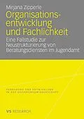 E-Book (pdf) Organisationsentwicklung und Fachlichkeit von Mirjana Zipperle