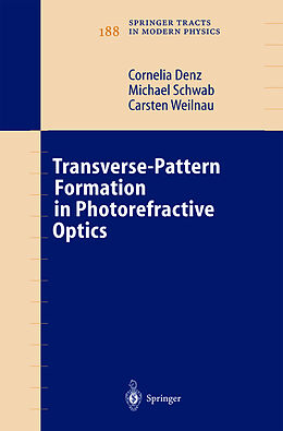 Fester Einband Transverse-Pattern Formation in Photorefractive Optics von Cornelia Denz, Carsten Weilnau, Michael Schwab