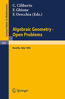 Kartonierter Einband Algebraic Geometry - Open Problems von 