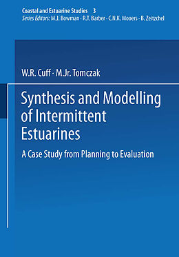 Kartonierter Einband Synthesis and Modelling of Intermittent Estuaries von 