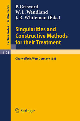 Kartonierter Einband Singularities and Constructive Methods for Their Treatment von 