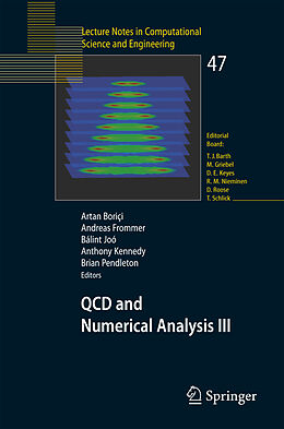 Kartonierter Einband QCD and Numerical Analysis III. Vol.3 von 