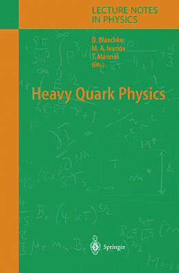 Fester Einband Heavy Quark Physics von 