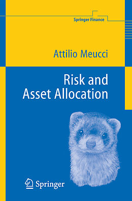 Livre Relié Risk and Asset Allocation de Attilio Meucci