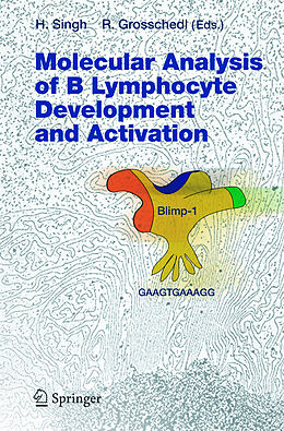Fester Einband Molecular Analysis of B Lymphocyte Development and Activation von 