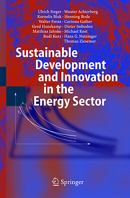 Fester Einband Sustainable Development and Innovation in the Energy Sector von Ulrich Steger, Wouter Achterberg, Kornelis Blok