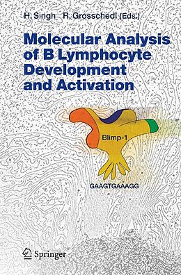 E-Book (pdf) Molecular Analysis of B Lymphocyte Development and Activation von Harinder Singh, Rudolf Grosschedl