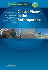 eBook (pdf) Coastal Fluxes in the Anthropocene de Christopher J. Crossland, Hartwig H. Kremer, Han J. Lindeboom