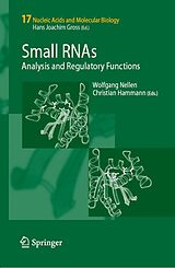 eBook (pdf) Small RNAs: de Wolfgang Nellen, Christian Hammann